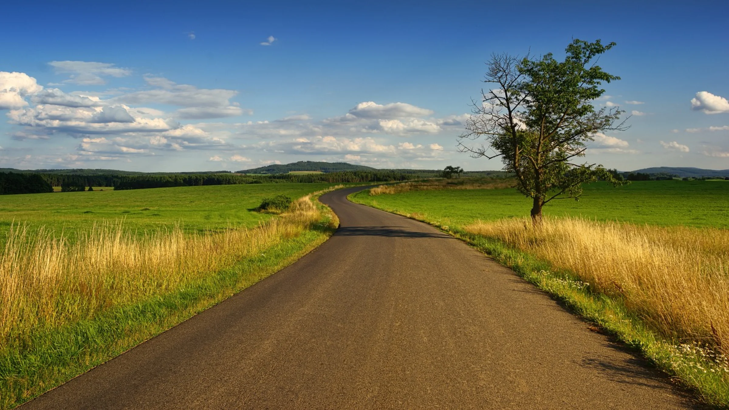 Schmuckbild Weg zum Horizont